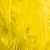 Cadmium Yellow Pale Hue T320