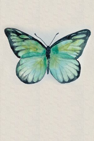 How to paint a watercolor butterfly tutorial - image of a watercolor butterfly