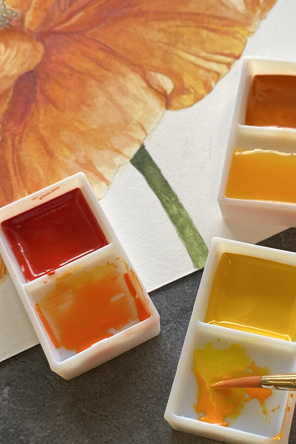 Grumbacher Japanese Watercolor Introduction